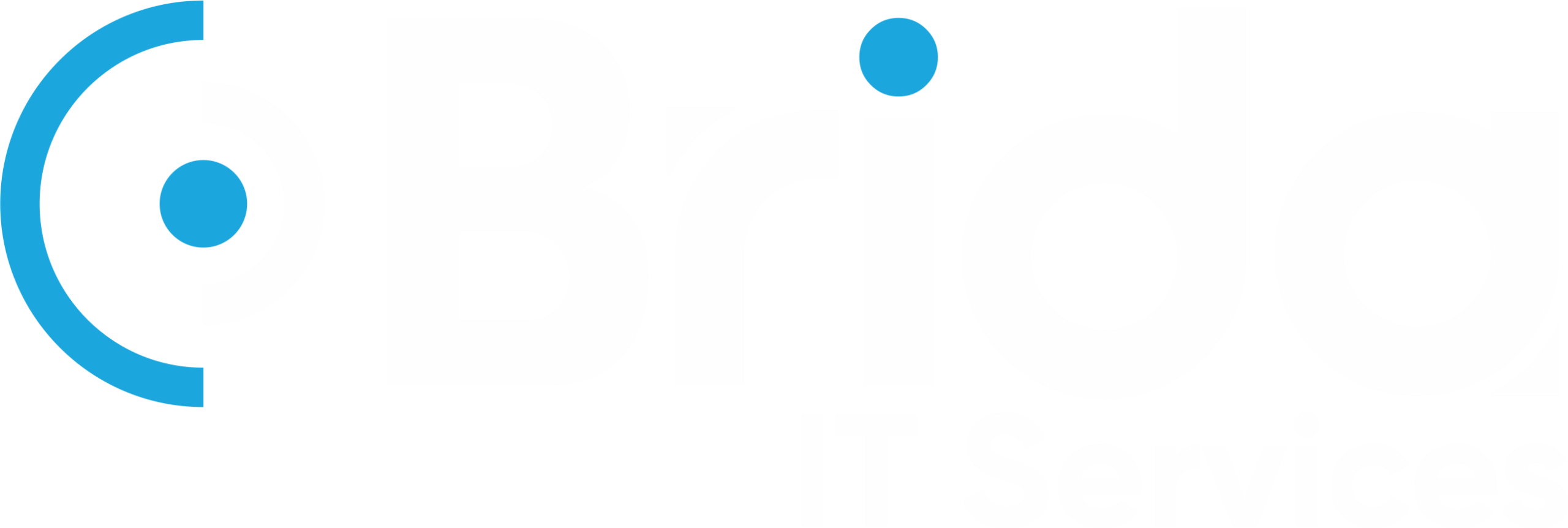 Brida IT Services